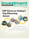  Investment Advisor 