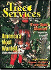 Tree Services