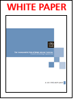 The Consequential Risk Of Weak Internal Controls: Fraud and Accounting Irregularities