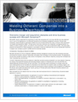 Welding Different Companies into a Business Powerhouse