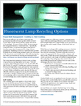 Fluorescent Lamp Recycling Options