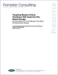 Forrester Consulting Report: The Challenges of File-Based Storage
