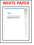 Unified Business Performance Management: How to Streamline Budgeting, Reporting, Analysis and Forecasting