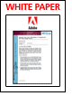 Adobe - Digital Services: Building a Foundation for User Experience