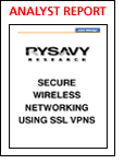 Secure Wireless Networking Using SSL VPNs