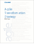 Agile Transformation Strategy