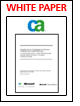 Adopting Server Virtualization for Business Continuity and Disaster Recovery
