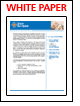 Data Synapse - Grid Computing for Telco: Five Opportunities to Employ Grid Technology