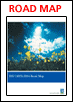 DNV Industry - ISO 14001:2004 Road Map