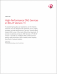 Free High-Performance DNS Services in BIG-IP Version 11 Magazine