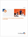 Free E-commerce 101: A Guide to Successful Selling upon a Web Magazine