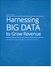 Harnessing BIG DATA to Grow Revenue
