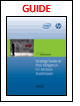 Strategy Guide to Risk Mitigation for Healthcare