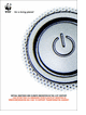 Hewlett Packard Corporation - Virtual meetings and Climate Innovation in the 21st Century