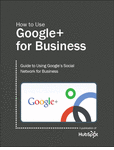 Google+ for Business Ebook