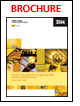 IBM - IBM Lotus Notes & Domino 8 Brochure: More than just email, calendars and contacts - IBM Lotus Notes (R) software