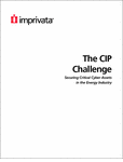 How Will Your Energy Company Respond to the CIP Challenge?