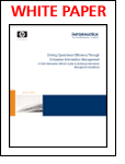 A CIO's Guide to Achieving Information Management Excellence - An HP and Informatica Joint White Paper