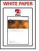 iPass - Top 10 Lessons Learned for Corporate 3G Mobile Broadband Deployments
