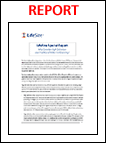 Download Special Report on High Definition And Traditional Video Conferencing