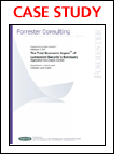 The Total Economic Impact of Lumension Security's Sanctuary Application and Device Control