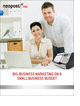 Big Business Marketing on a Small Business Budget