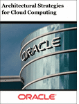 Architectural Strategies for Cloud Computing