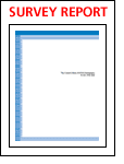 Survey Report: The Current State of SOA Governance