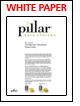 Pillar Data Systems - The Modern Virtualized Data Center