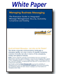 Executive Guide to Integrated Message Management 
