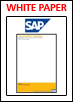 SAP - Sales Performance Management: Maximize Profits with Comprehensive Sales Processes