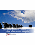 Seeing the Big Picture - A Corporate Guide to Better Decisions through IT