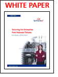 Securing the Enterprise from Malware Threats