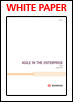Serena - Agile in the Enterprise