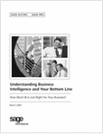  Understanding Business Intelligence and Your Bottom Line 
