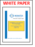 Nemertes Summary Report: comparative assessment of the top IP telephony vendors