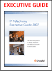 IP Telephony Executive Guide 2007