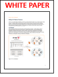SitRep5 MSP: A New Approach to Remote IT Infrastructure Management