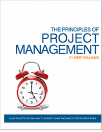 The Principles Of Project Management - Free 66 Page Preview!