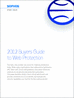 2012 Buyers Guide to Web Protection