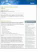 Symantec Positioned as a Leader in Leading Analyst Firm Magic Quadrant