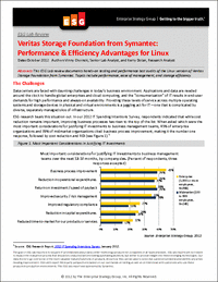 Veritas Storage Foundation from Symantec: Performance & Efficiency Advantages for Linux