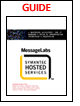 Mastering eDiscovery: The IT Manager's Guide To Preservation, Protection & Production