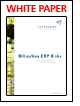 Trivalent Solutions - Mitigating ERP Risks