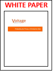 Voltage Security's Data Privacy Whitepaper