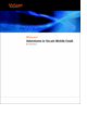 For Data Security Professionals  - Adventures in Secure Mobile Email