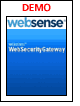 Websense - Websense Web Security Gateway Demo
