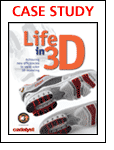 Rapid Color 3D Modeling/Printing: Achieving New Efficiencies