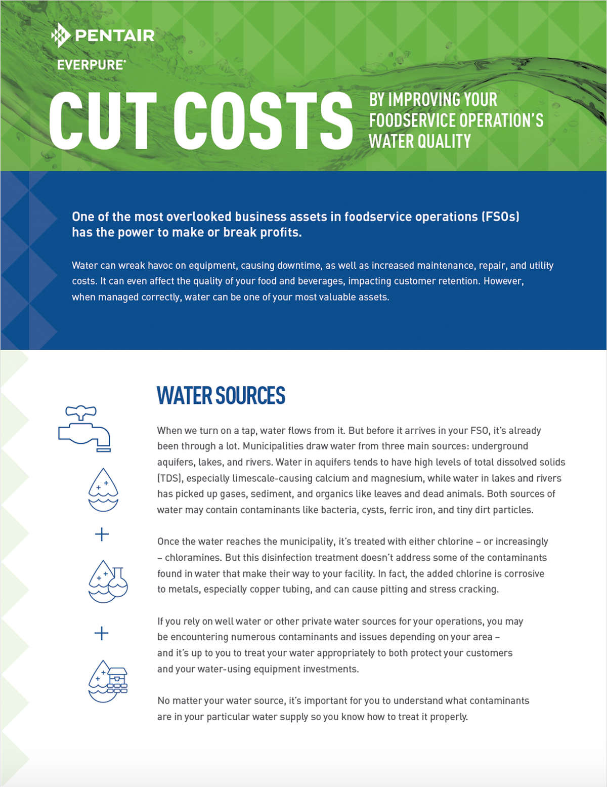 White Paper: Cut Costs by Improving Your Foodservice Operation's Water Quality
