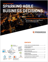 Sparking Agile Business Decisions Improving your Business Rules Management